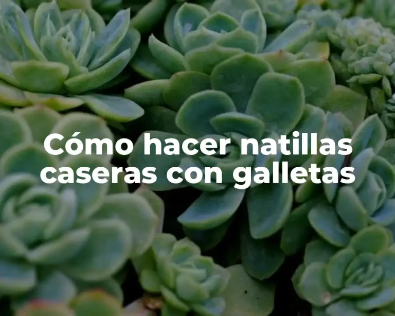 Cómo hacer natillas caseras con galletas