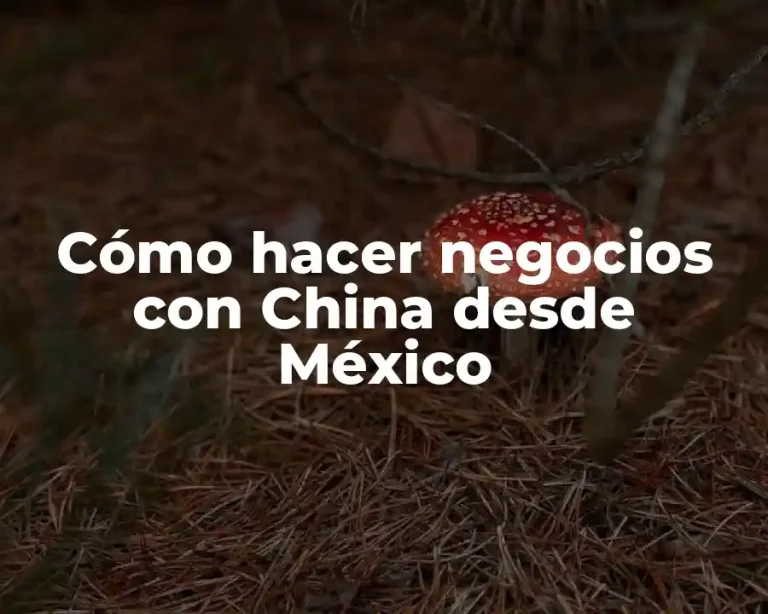 Cómo hacer negocios con China desde México