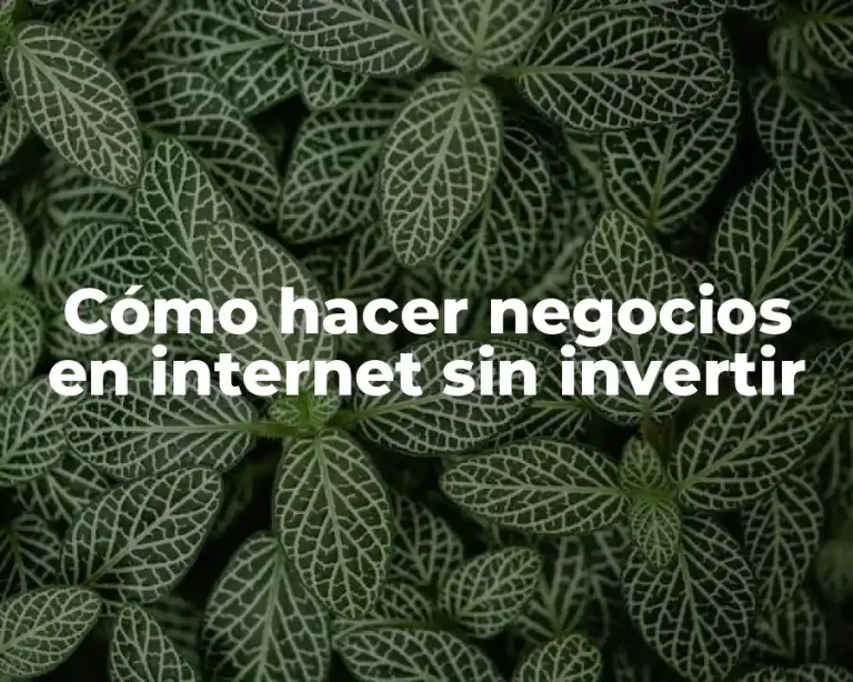 Cómo hacer negocios en internet sin invertir