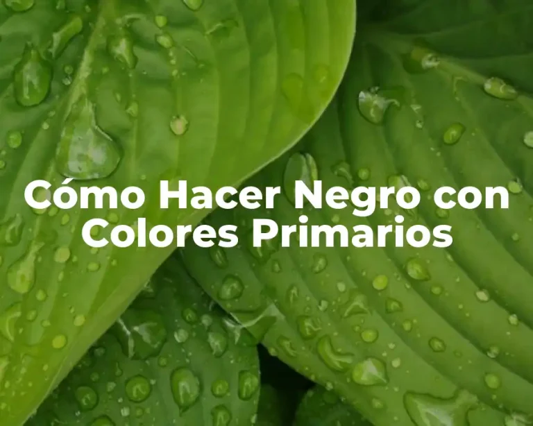 Cómo Hacer Negro con Colores Primarios