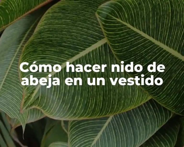 Cómo hacer nido de abeja en un vestido