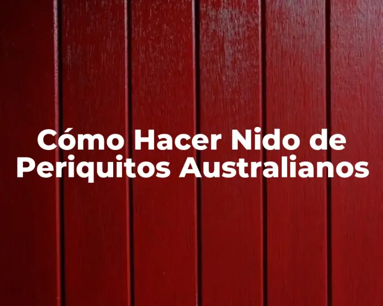 Cómo Hacer Nido de Periquitos Australianos