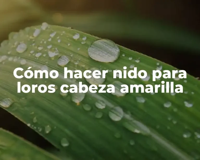 Cómo hacer nido para loros cabeza amarilla
