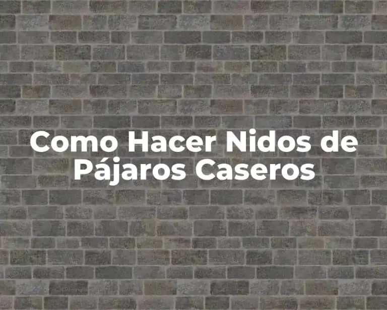 Como Hacer Nidos de Pájaros Caseros
