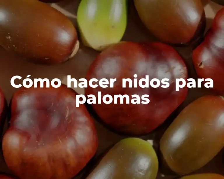 Cómo hacer nidos para palomas