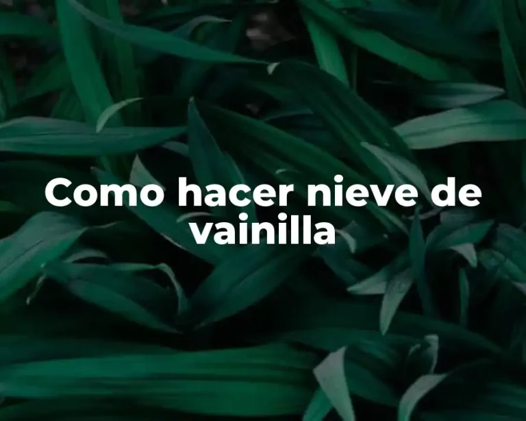 Como hacer nieve de vainilla