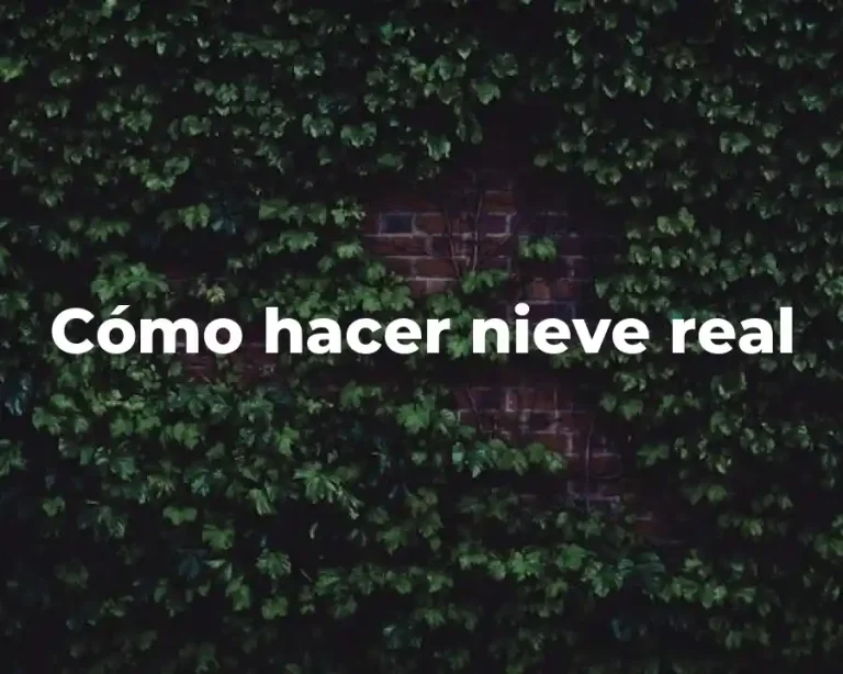 Cómo hacer nieve real