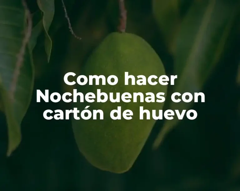 Como hacer Nochebuenas con cartón de huevo