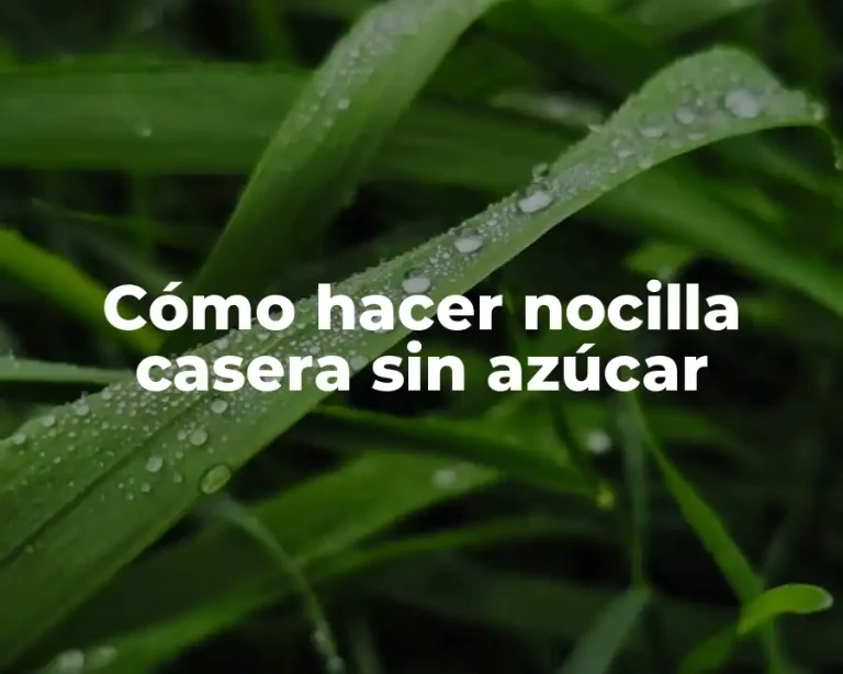 Cómo hacer nocilla casera sin azúcar