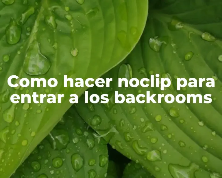 Como hacer noclip para entrar a los backrooms