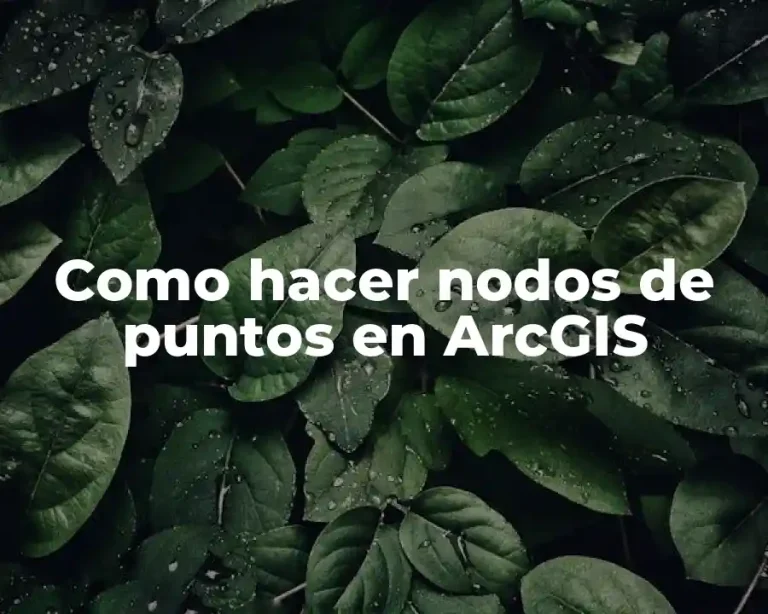 Como hacer nodos de puntos en ArcGIS