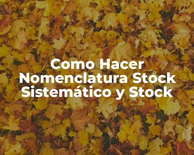 Como Hacer Nomenclatura Stock Sistemático y Stock