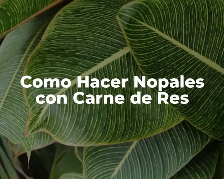 Como Hacer Nopales con Carne de Res