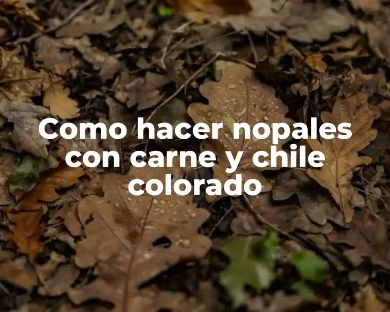 Como hacer nopales con carne y chile colorado
