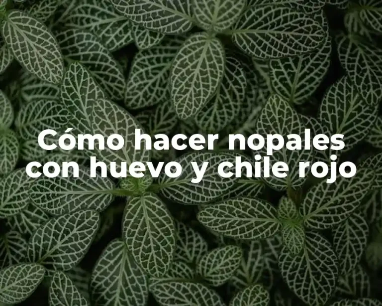 Cómo hacer nopales con huevo y chile rojo