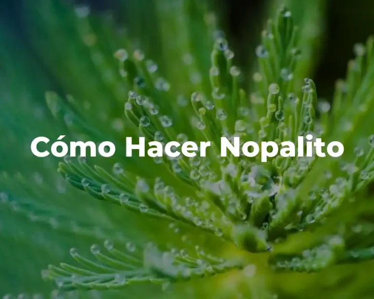 Cómo Hacer Nopalito