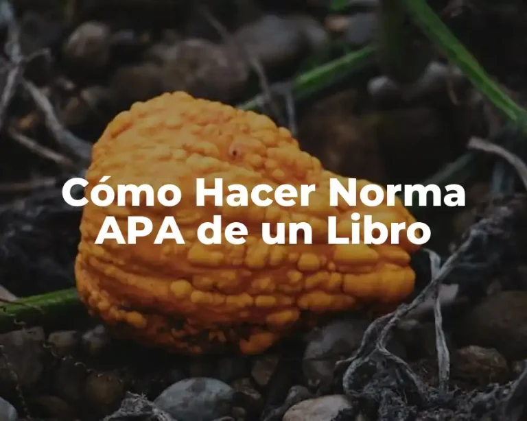 Cómo Hacer Norma APA de un Libro