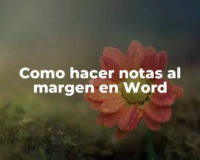 Como hacer notas al margen en Word