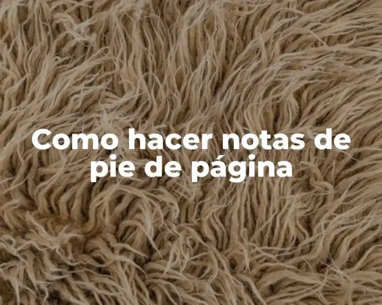 Como hacer notas de pie de página