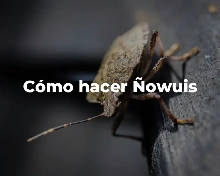 Cómo hacer Ñowuis