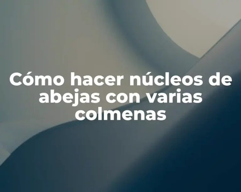 Cómo hacer núcleos de abejas con varias colmenas