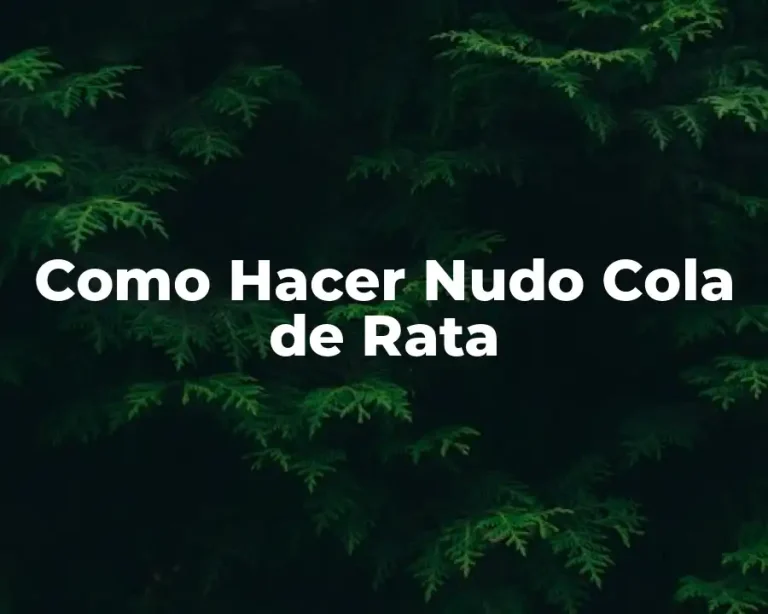 Como Hacer Nudo Cola de Rata