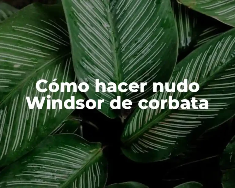 Cómo hacer nudo Windsor de corbata