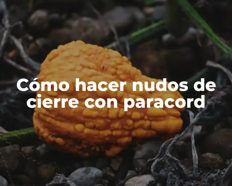 Cómo hacer nudos de cierre con paracord
