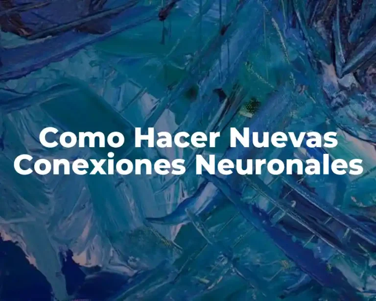 Como Hacer Nuevas Conexiones Neuronales