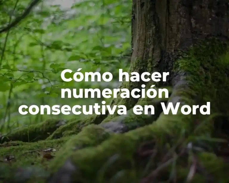 Cómo hacer numeración consecutiva en Word
