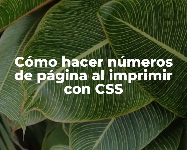 Cómo hacer números de página al imprimir con CSS