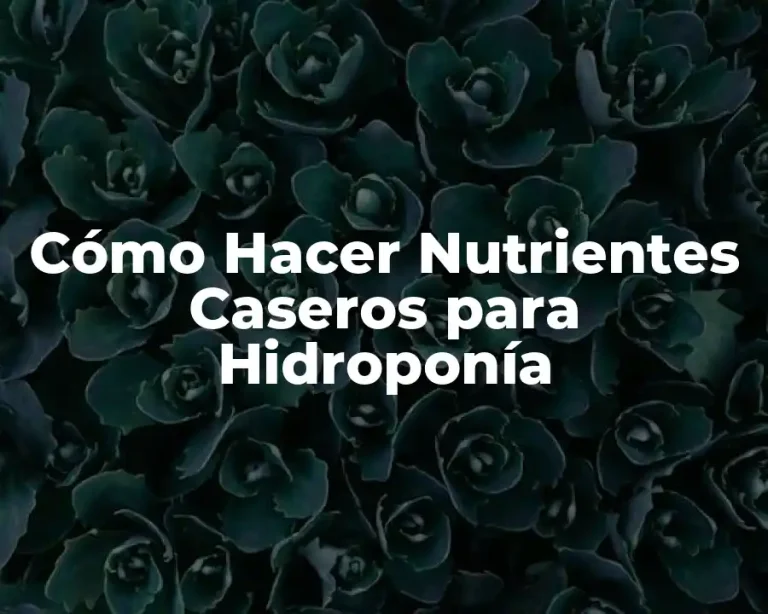 Cómo Hacer Nutrientes Caseros para Hidroponía