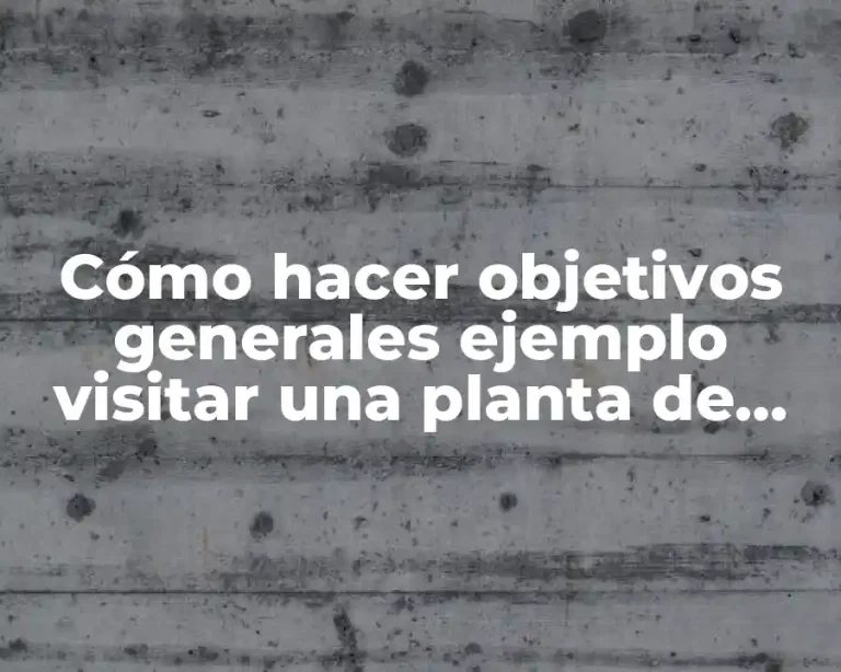 Cómo hacer objetivos generales ejemplo visitar una planta de procesamiento