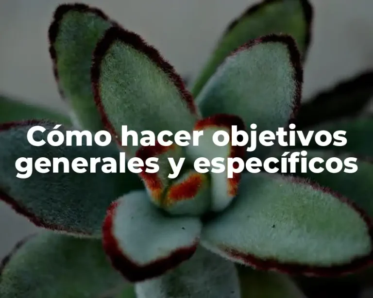 Cómo hacer objetivos generales y específicos