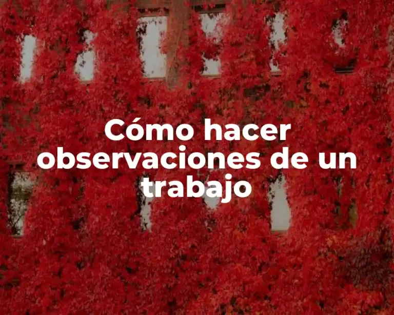 Cómo hacer observaciones de un trabajo