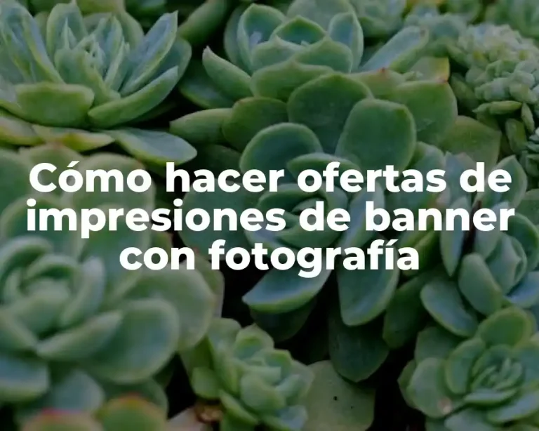Cómo hacer ofertas de impresiones de banner con fotografía