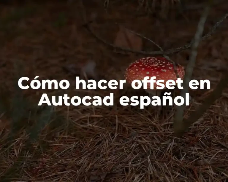 Cómo hacer offset en Autocad español