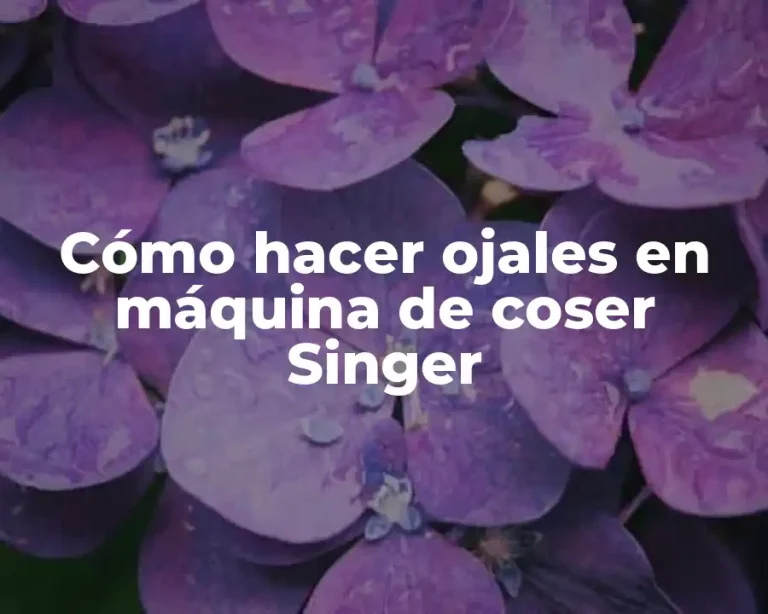 Cómo hacer ojales en máquina de coser Singer