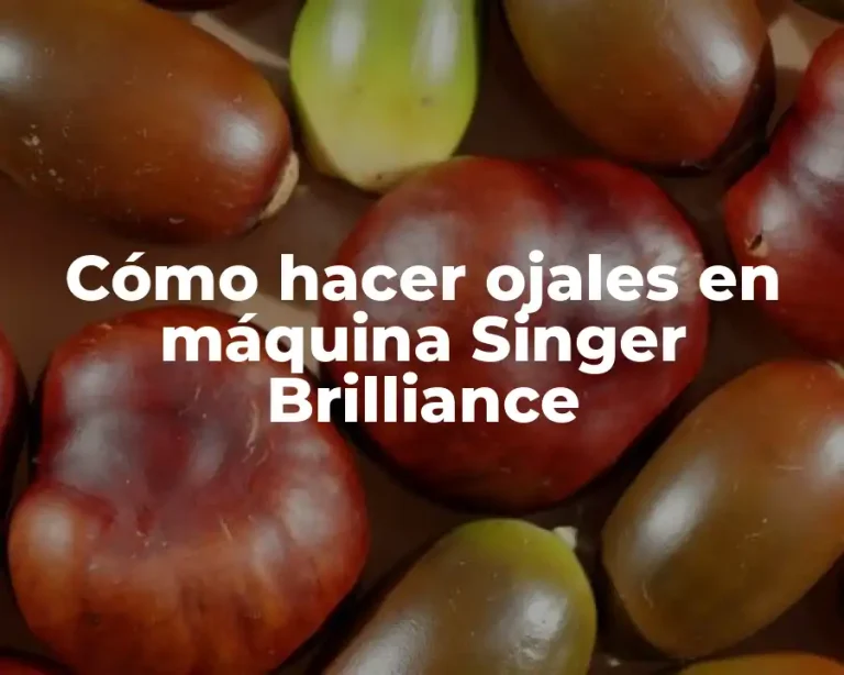 Cómo hacer ojales en máquina Singer Brilliance