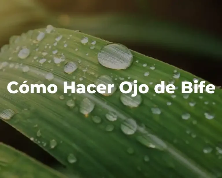 Cómo Hacer Ojo de Bife