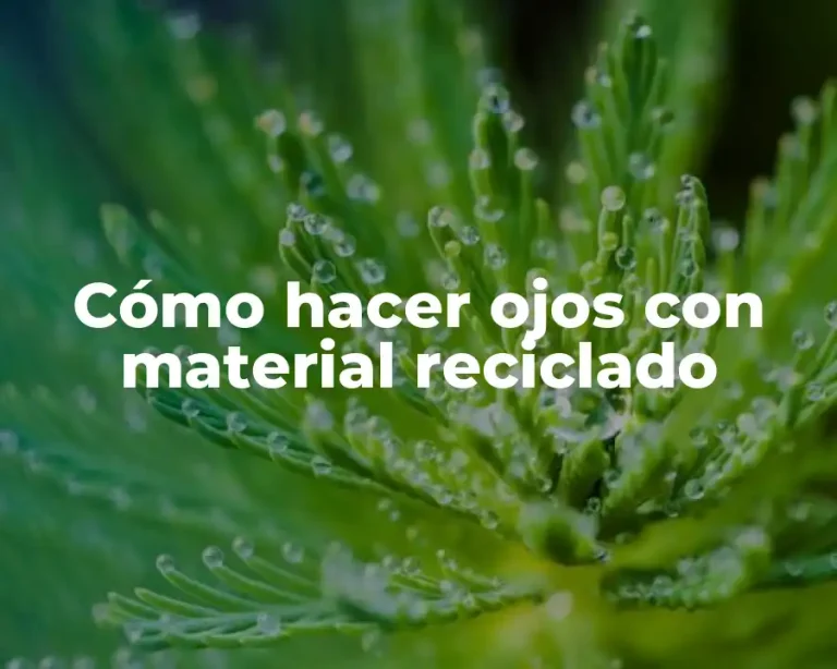 Cómo hacer ojos con material reciclado