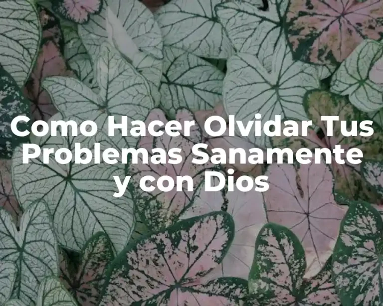 Como Hacer Olvidar Tus Problemas Sanamente y con Dios