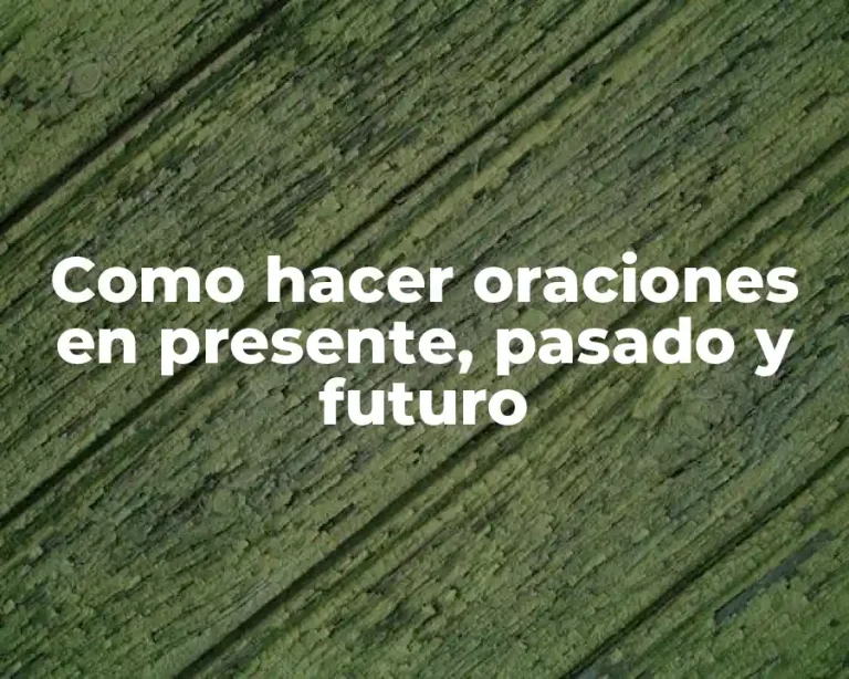 Como hacer oraciones en presente, pasado y futuro