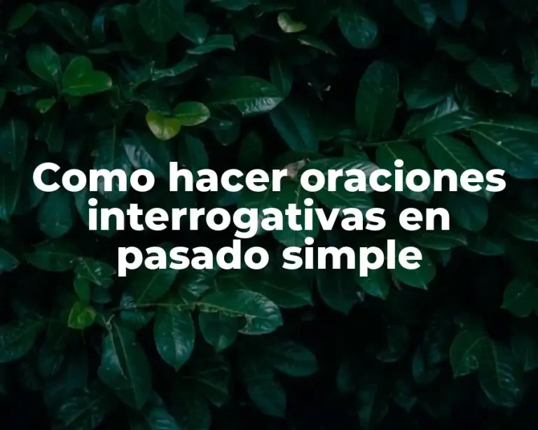 Como hacer oraciones interrogativas en pasado simple