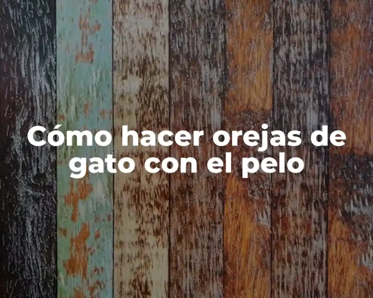 Cómo hacer orejas de gato con el pelo