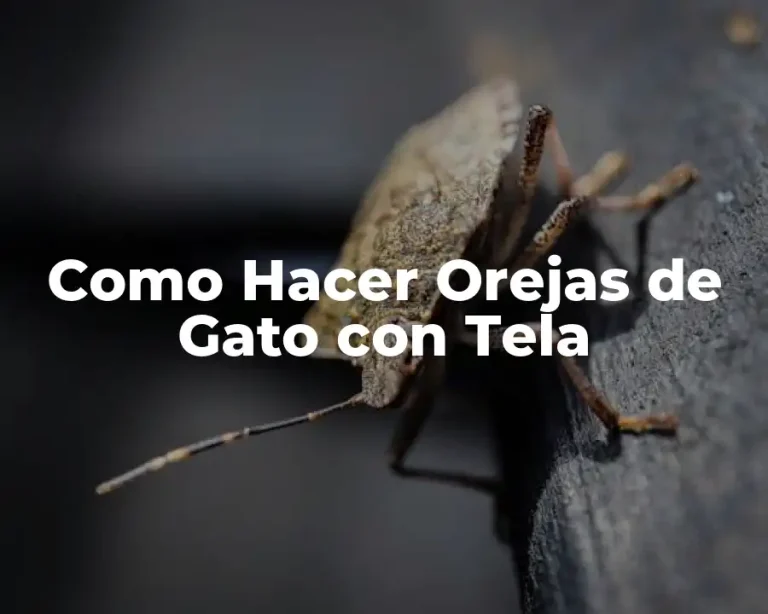 Como Hacer Orejas de Gato con Tela