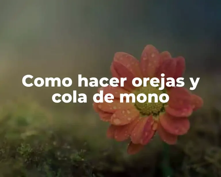 Como hacer orejas y cola de mono