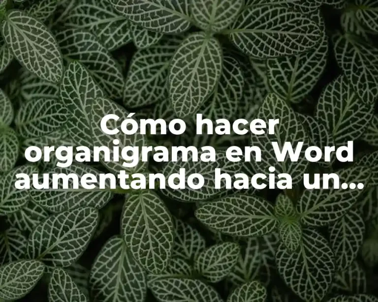 Cómo hacer organigrama en Word aumentando hacia un costado