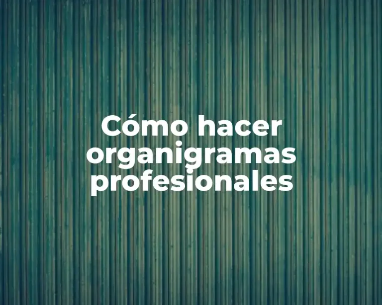 Cómo hacer organigramas profesionales