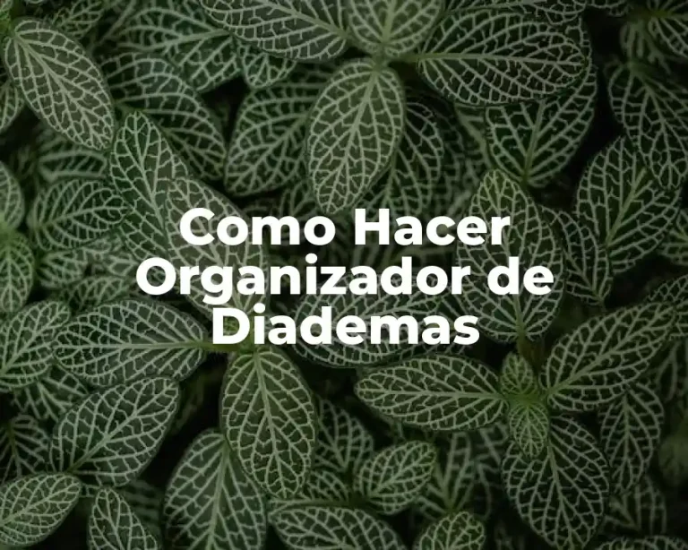Como Hacer Organizador de Diademas